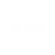 MISSI